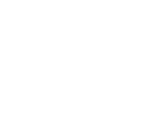 local area networks